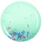 assiette plate leclerc