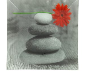 assiette plate zen