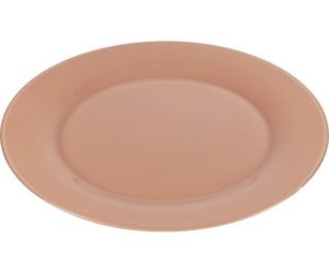assiette plate a 1 euro
