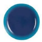 assiette plate diametre 25