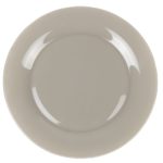 assiette plate diametre 25