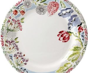 assiette plate coloree