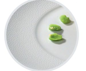 assiette creuse galuchat