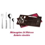 menagere 24 pieces astree cisele guy degrenne