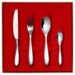 menagere 50 pieces astree acier miroir