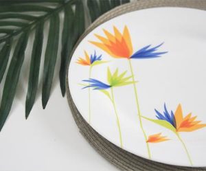 assiette plate babou
