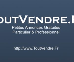 service de table digoin