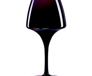 verre a pied pro tasting 32cl serie open up