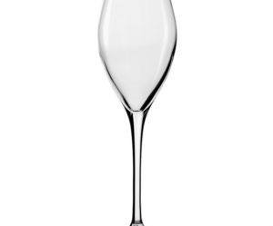 flute a champagne guy degrenne