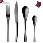 menagere 50 pieces guy degrenne