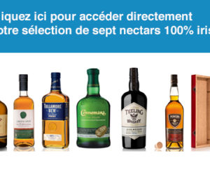 verre a whisky irlandais