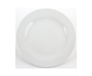 assiette plate porcelaine 24 cm